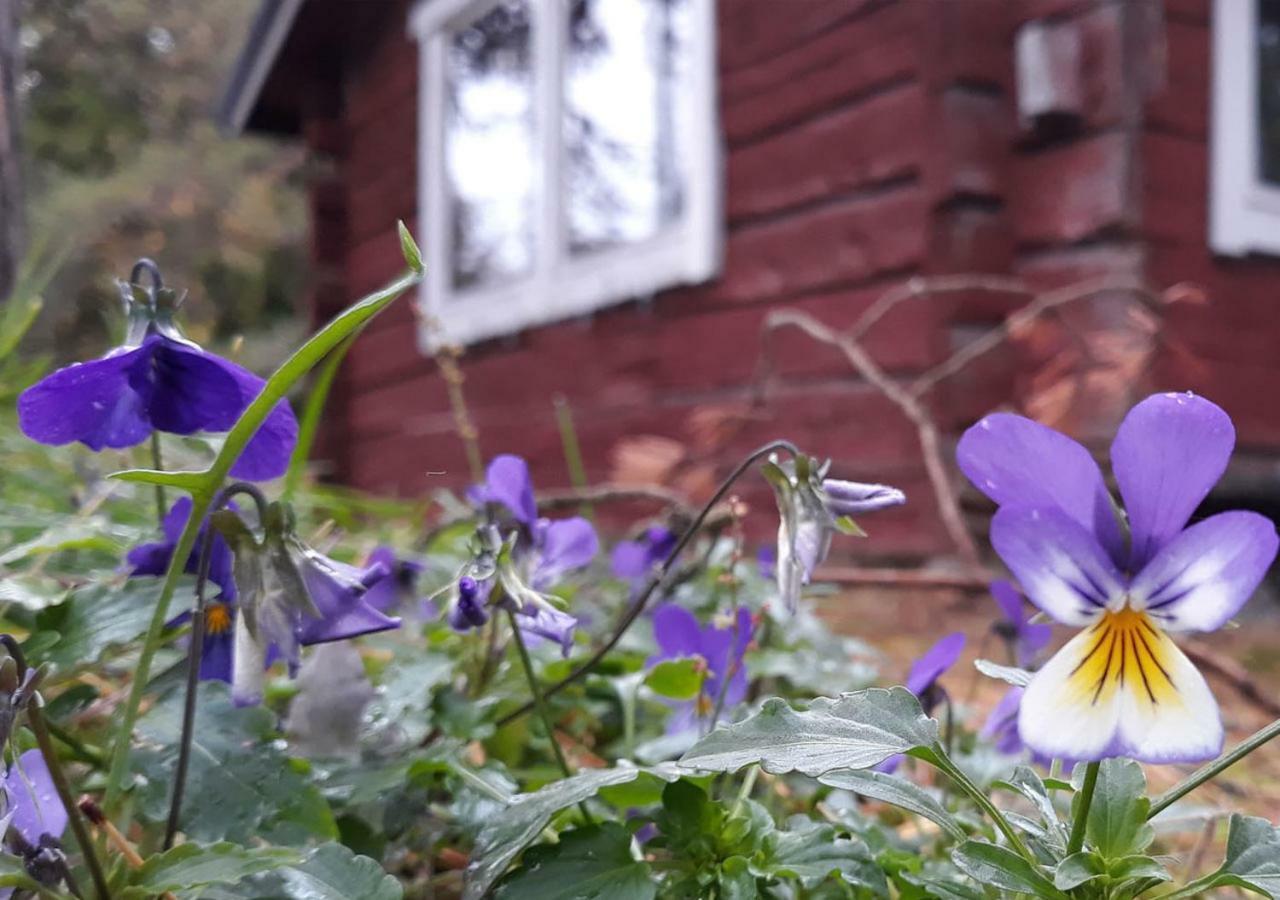 Bjoerkholm Moekit Villa Pargas Dış mekan fotoğraf